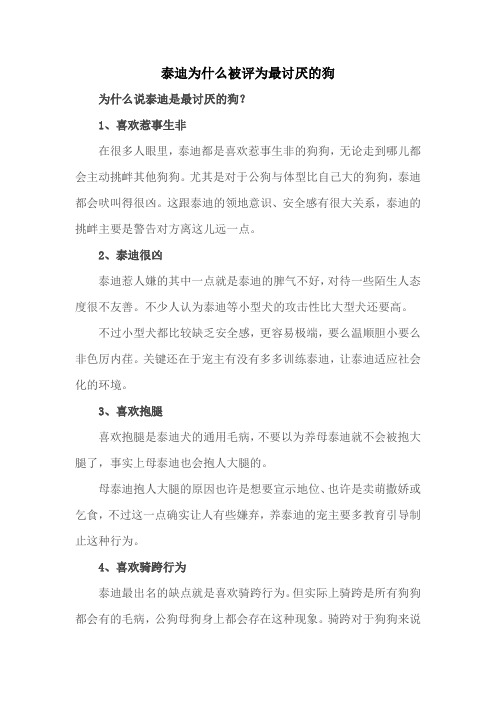 泰迪为什么被评为最讨厌的狗