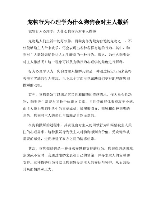 宠物行为心理学为什么狗狗会对主人撒娇