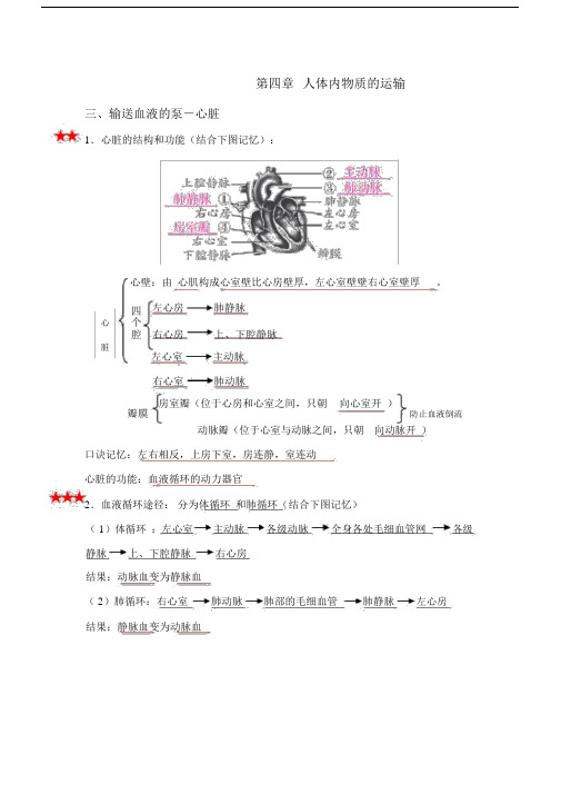 人教版七年级生物下册4-6章知识点总结.doc