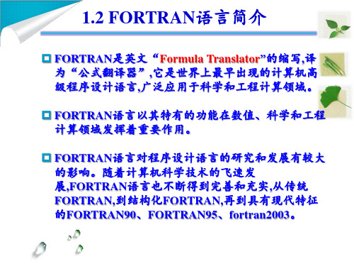 1.2FORTRAN语言简介