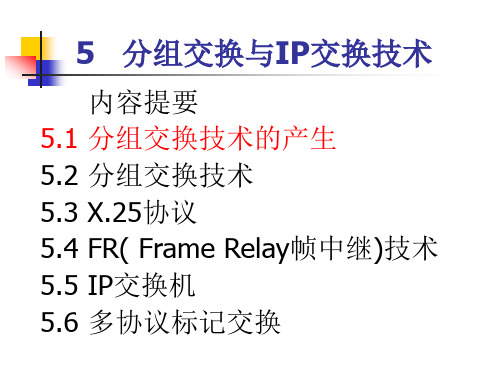 现代交换第5章--分组交换技术及IP技术