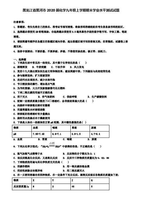 黑龙江省黑河市2020届化学九年级上学期期末学业水平测试试题