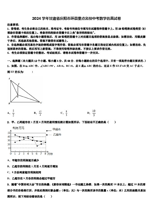 2024届甘肃省庆阳市环县重点名校中考数学仿真试卷含解析