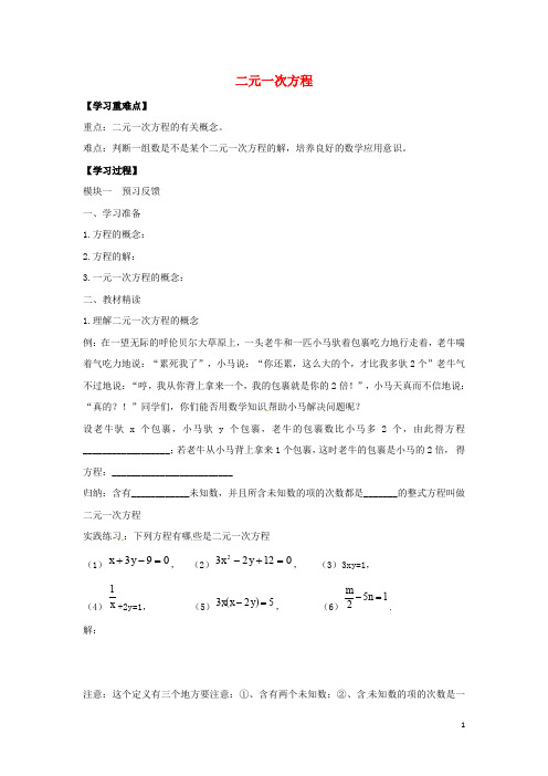 七年级数学下册   第六章  二元一次方程组  全章学案 (新版)冀教版