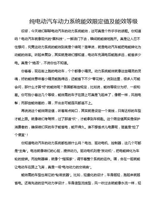 纯电动汽车动力系统能效限定值及能效等级