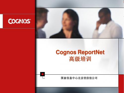 ReportNet+cognos性能调整