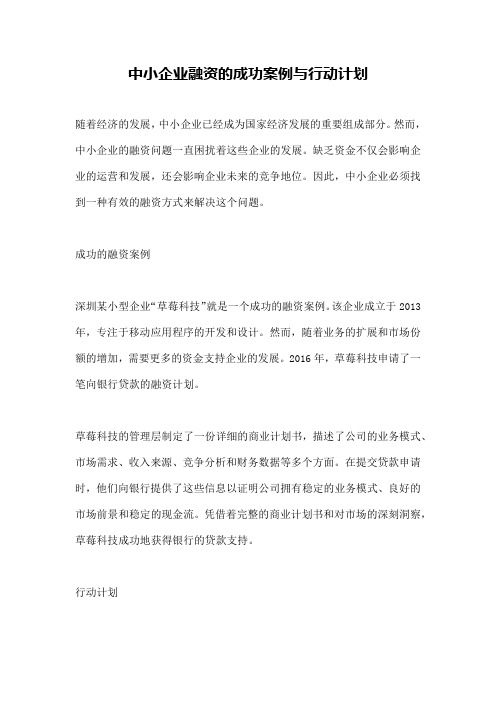 中小企业融资的成功案例与行动计划