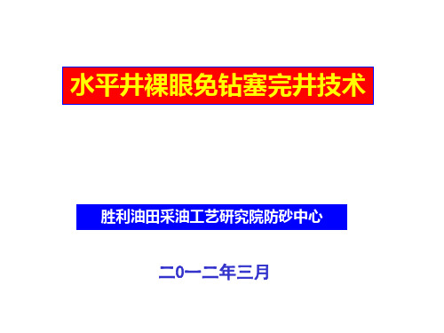 水平井裸眼免钻塞防砂技术