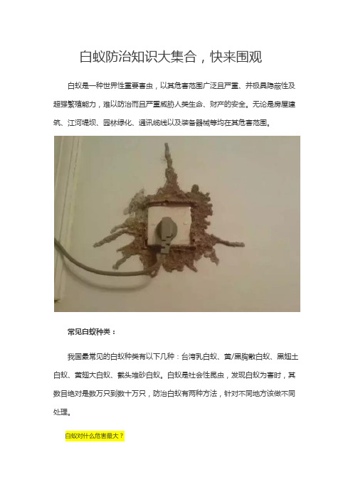 白蚁防治知识大集合快来围观