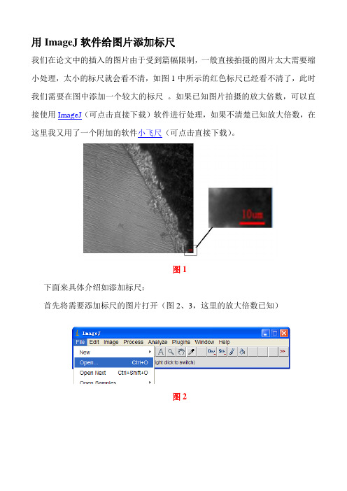 论文中的图片添加标尺