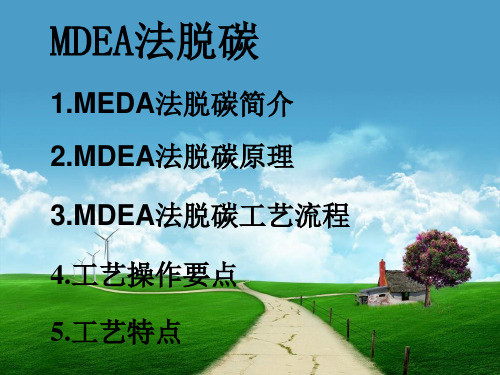 MDEA法脱碳[优质ppt]