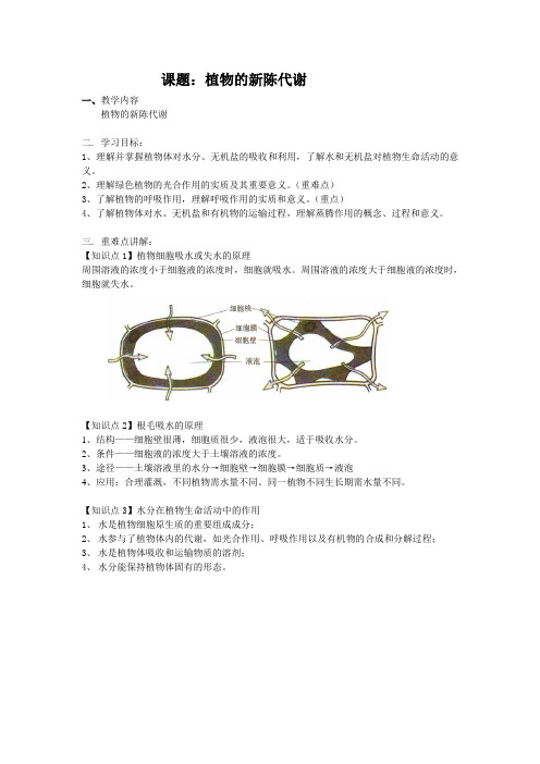 植物的新陈代谢