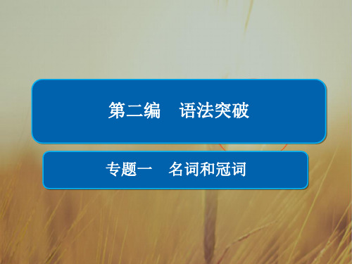 2019版高考英语语法专题突破全国全解析课件：专题1 名词和冠词 精品