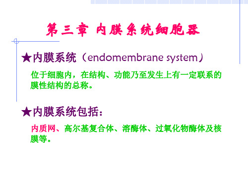 第三章细胞的内膜系统