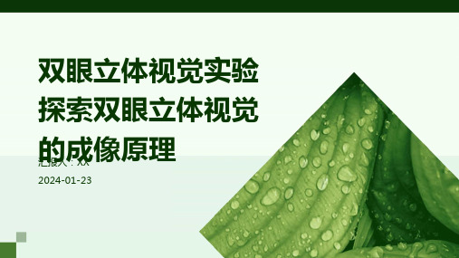 双眼立体视觉实验探索双眼立体视觉的成像原理