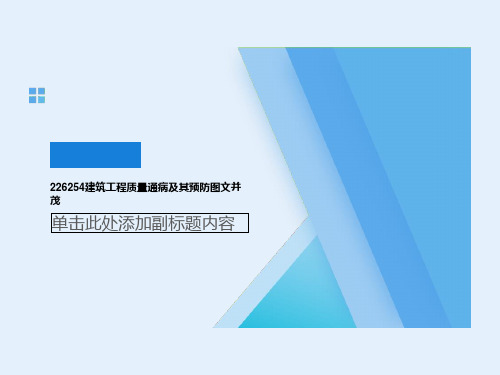 226254建筑工程质量通病及其预防图文并茂 