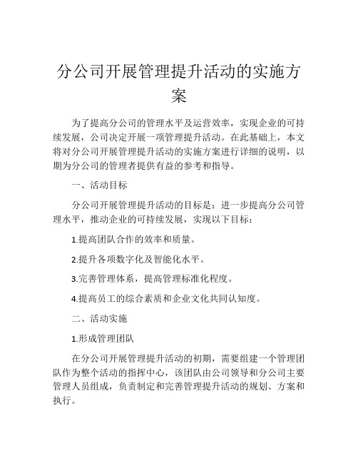 分公司开展管理提升活动的实施方案