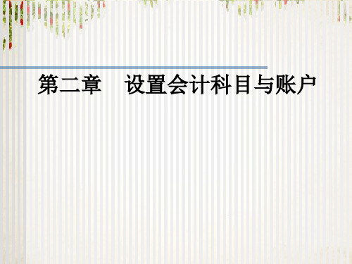 设置会计科目与账户(ppt 48页)