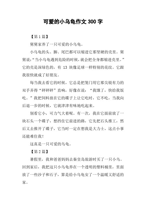 可爱的小乌龟作文300字