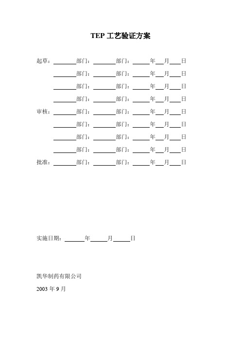 TEP工艺验证方案