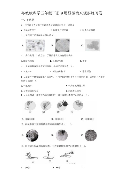 粤教版科学五年级下册9用显微镜来观察练习