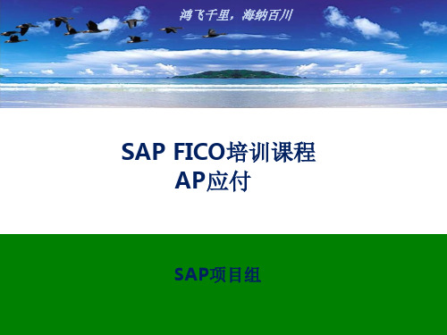 SAP FICO培训课程-AP应付