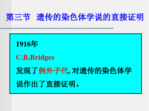 人教版八年级生物上册课件：07遗传的染色体学说的直接证明 6PPT