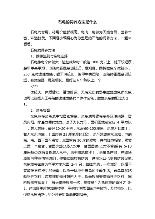 石龟的饲养方法是什么