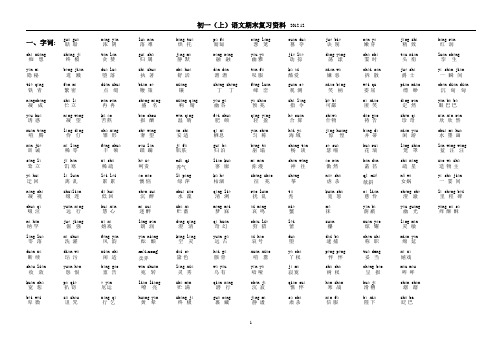 初一(上)语文期末复习资料及练习