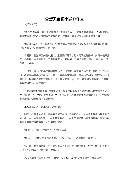 父爱无言初中满分作文