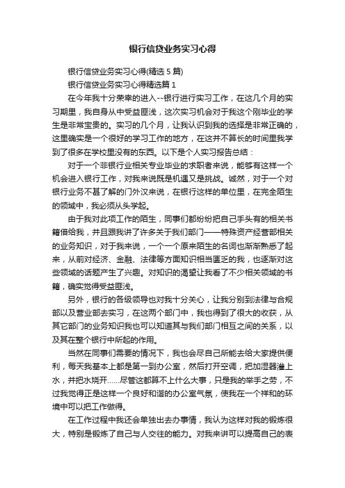 银行信贷业务实习心得