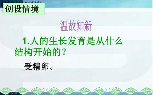 人教版生物七年级上册第二单元第二章第三节植物体的结构层次共40页