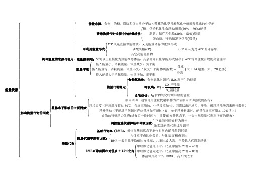 能量代谢(思维导图)