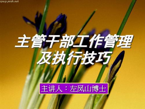 主管干部工作管理及执行技巧(PPT 90页)