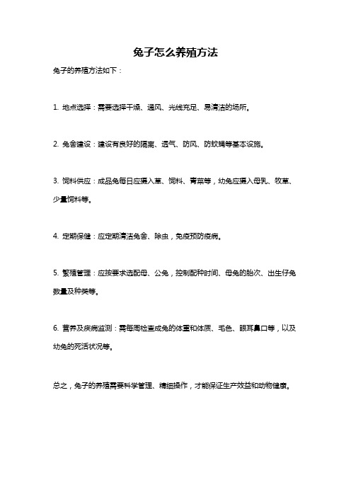 兔子怎么养殖方法