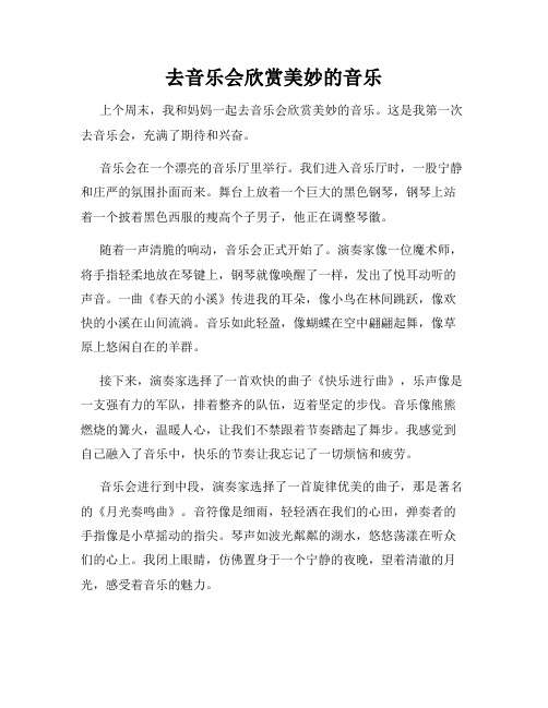 三年级作文那次玩得真高兴之去音乐会欣赏美妙的音乐