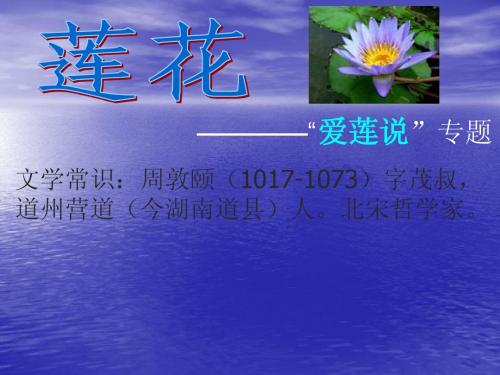 莲
