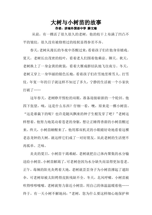 大树与小树苗的故事