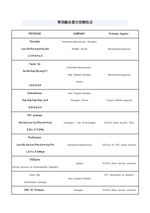 常用蛋白酶切割位点