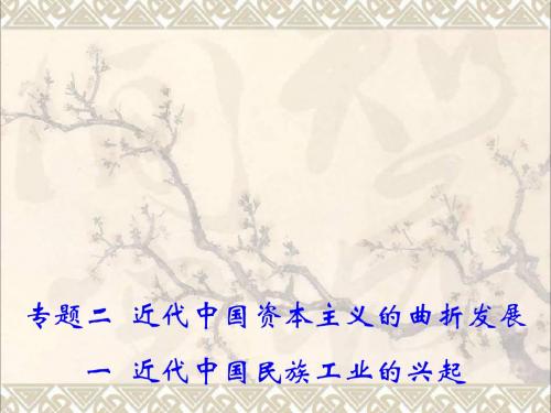 高中历史2.1近代中国民族工业的兴起课件1人民必修2