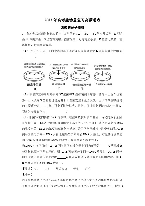 2022年高考生物高频考点必刷题 遗传的分子基础