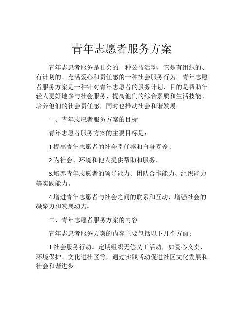 青年志愿者服务方案