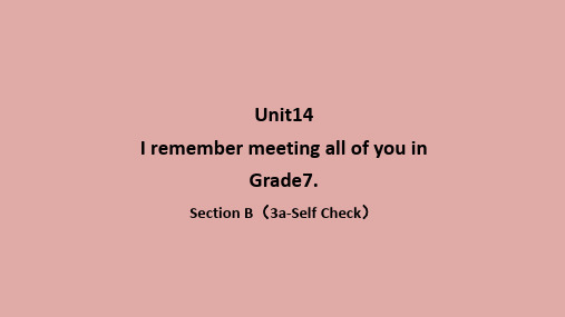 Unit14SectionB(3aSelf_Check)课件人教版九年级英语全册