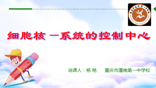细胞核说课ppt课件