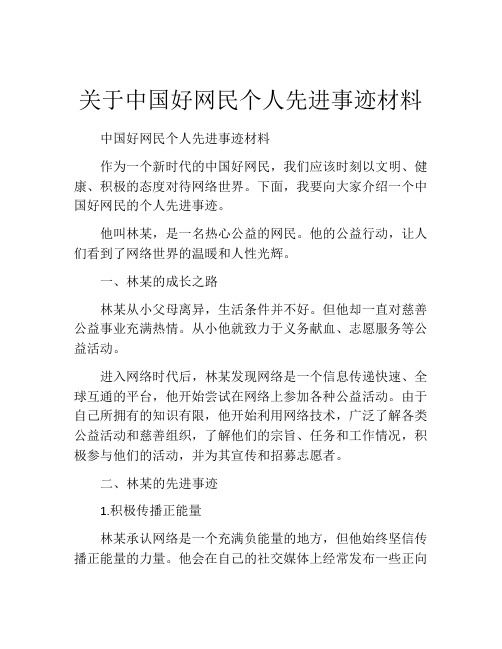 关于中国好网民个人先进事迹材料