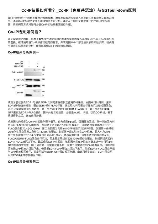 Co-IP结果如何看？_Co-IP（免疫共沉淀）与GSTpull-down区别