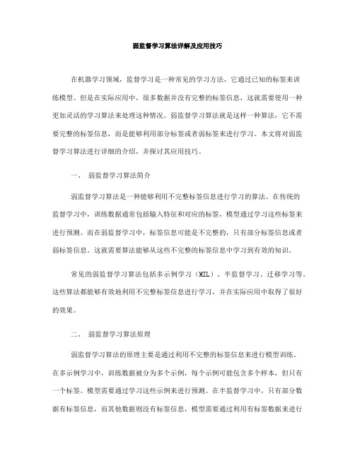 弱监督学习算法详解及应用技巧