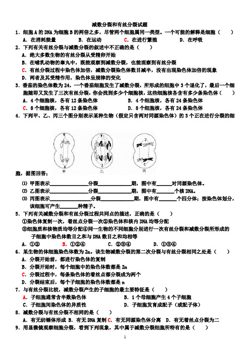 减数分裂和有丝分裂试题(含答案)