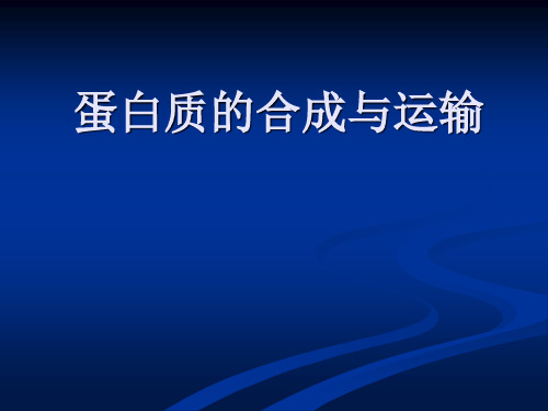 蛋白质的合成与运输