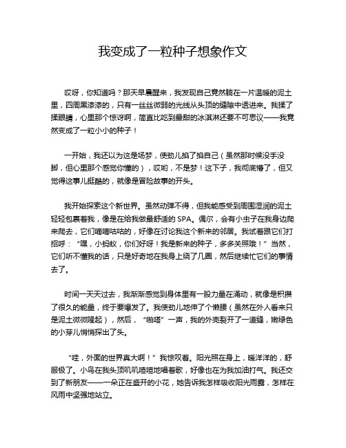 我变成了一粒种子想象作文